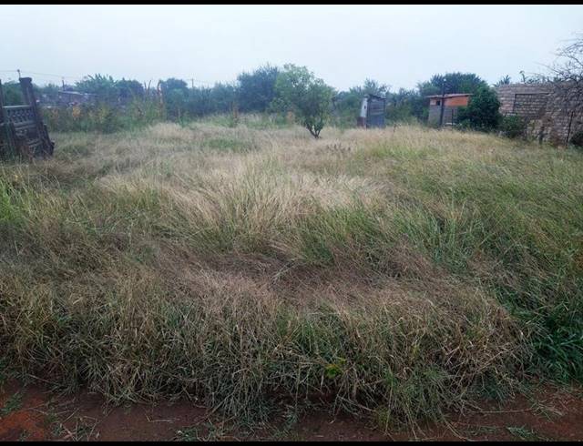 LAND FOR SALE IN MANKWENG